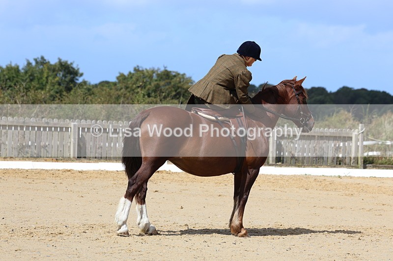 3E7A3613 - Class 7:  Preliminary Music