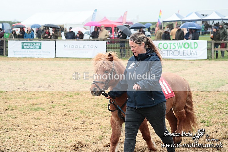 SHETPR 210425 17 - Shetland Ponies Paxford Races 21/04/25