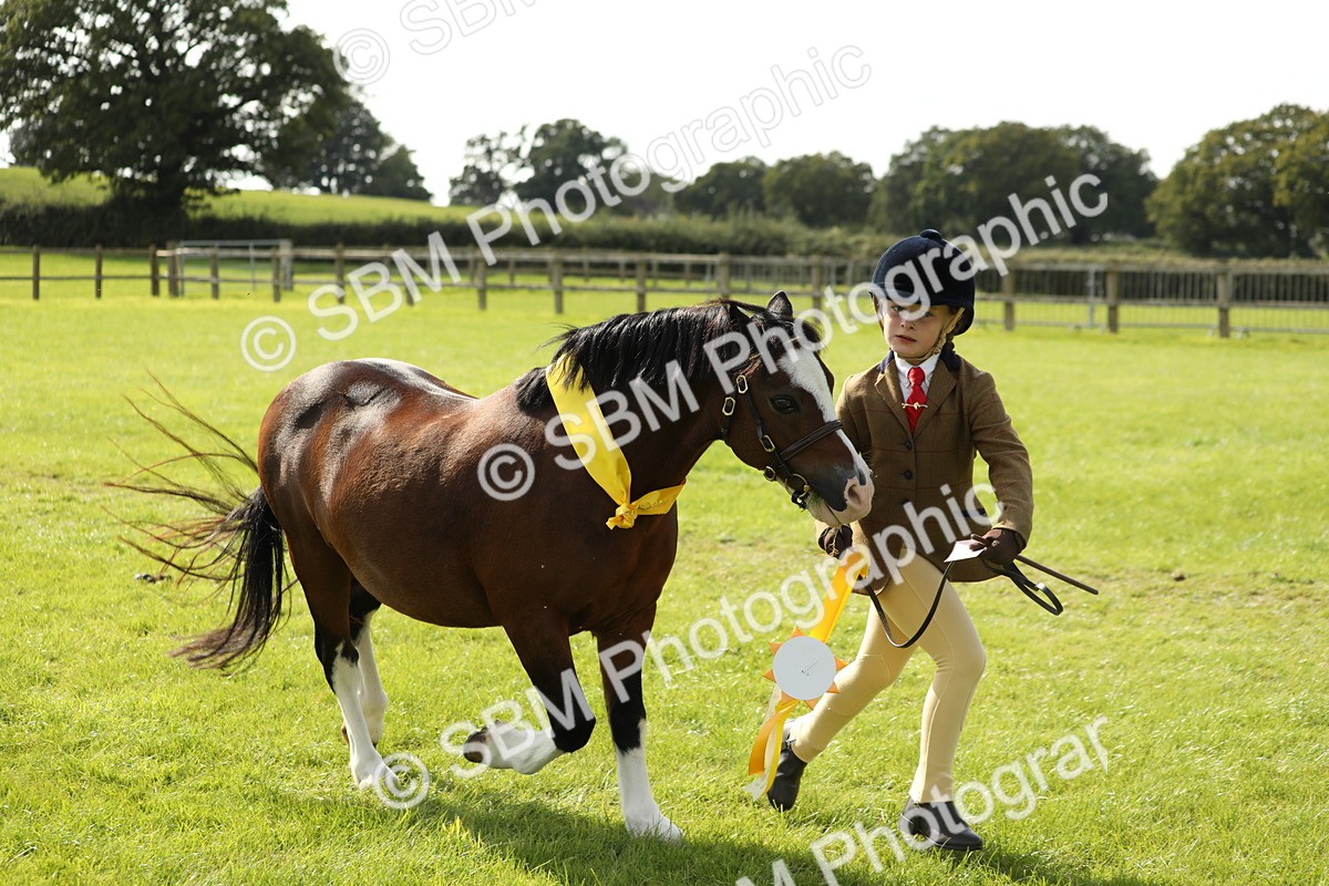 SBM_67879 - S39 - Junior Handler 8  Years & Under