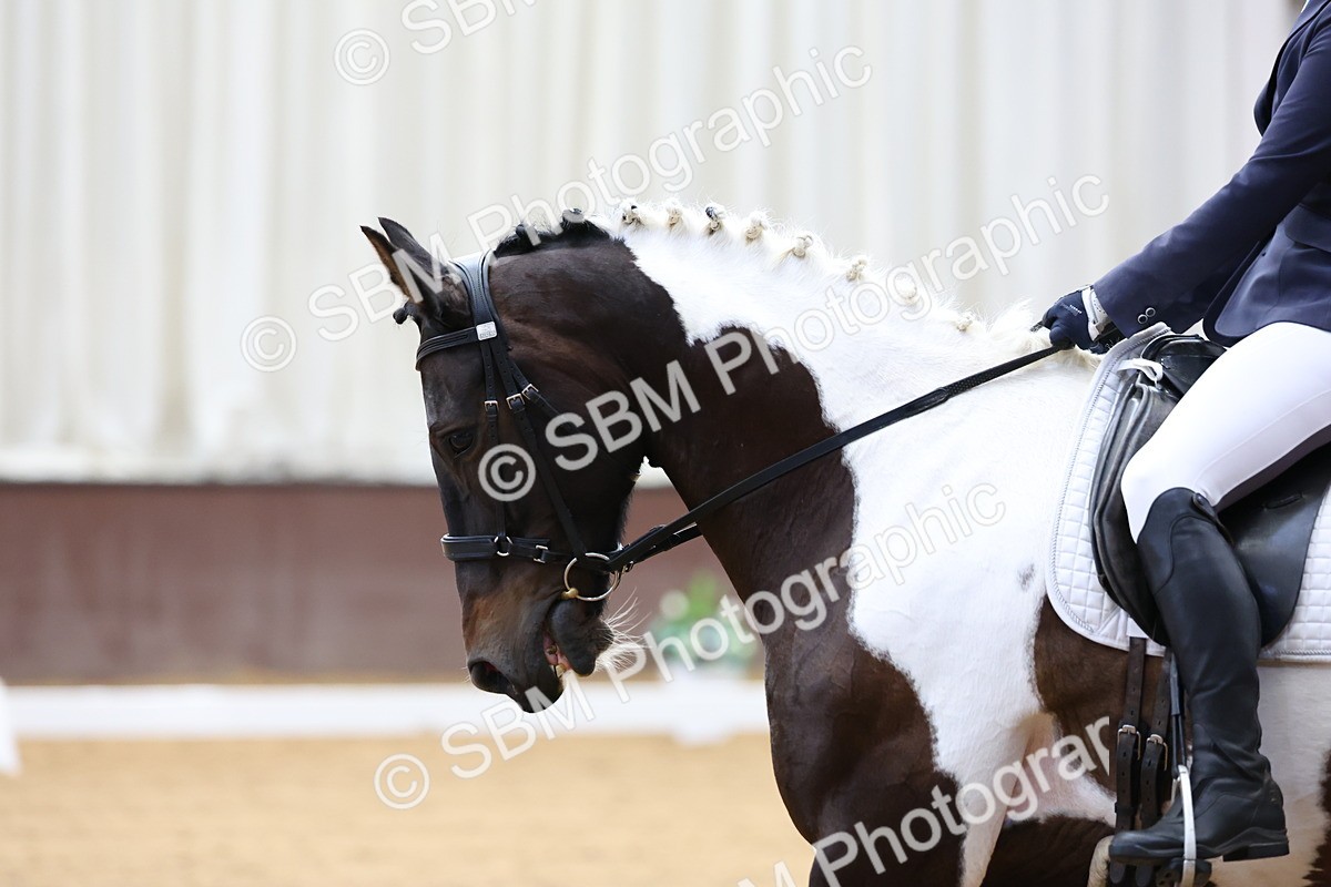 SBM_015879 - Class 15 - Novice FSM - 9.50 - 11.10