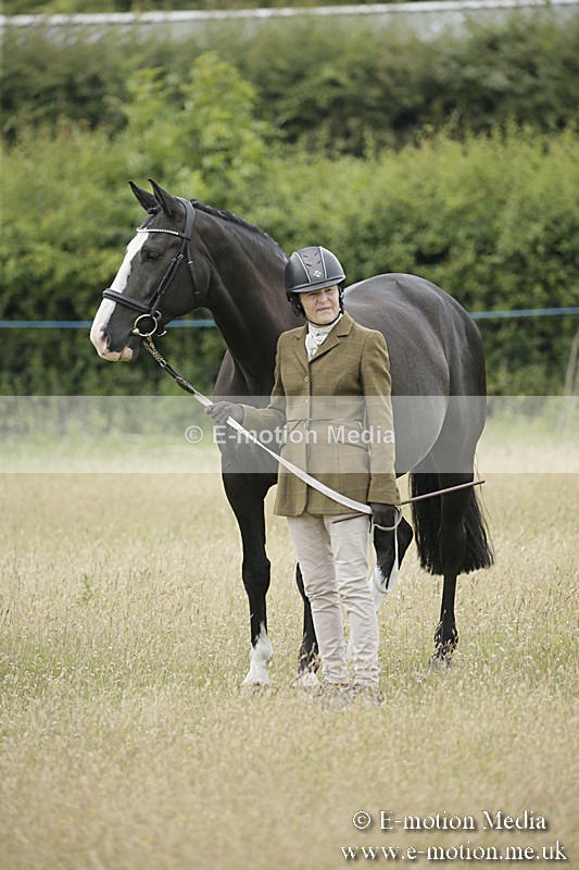 B230619-0292 - Bourne Valley Riding Club Summer Show 23/06/19