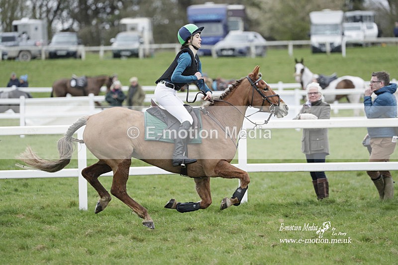 PtP 260323 0061 - New Forest Hounds Point-to-Point Larkhill 26/03/23