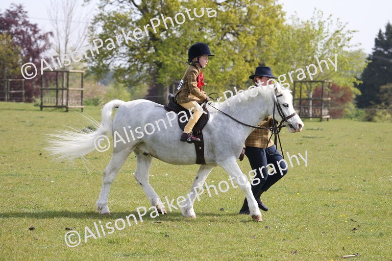 20260426-0602 - Class 31 - Leading Rein