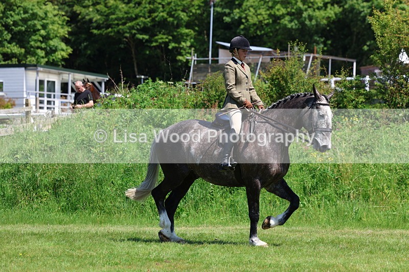 3E7A8226 - Class 13: Ridden Hunter