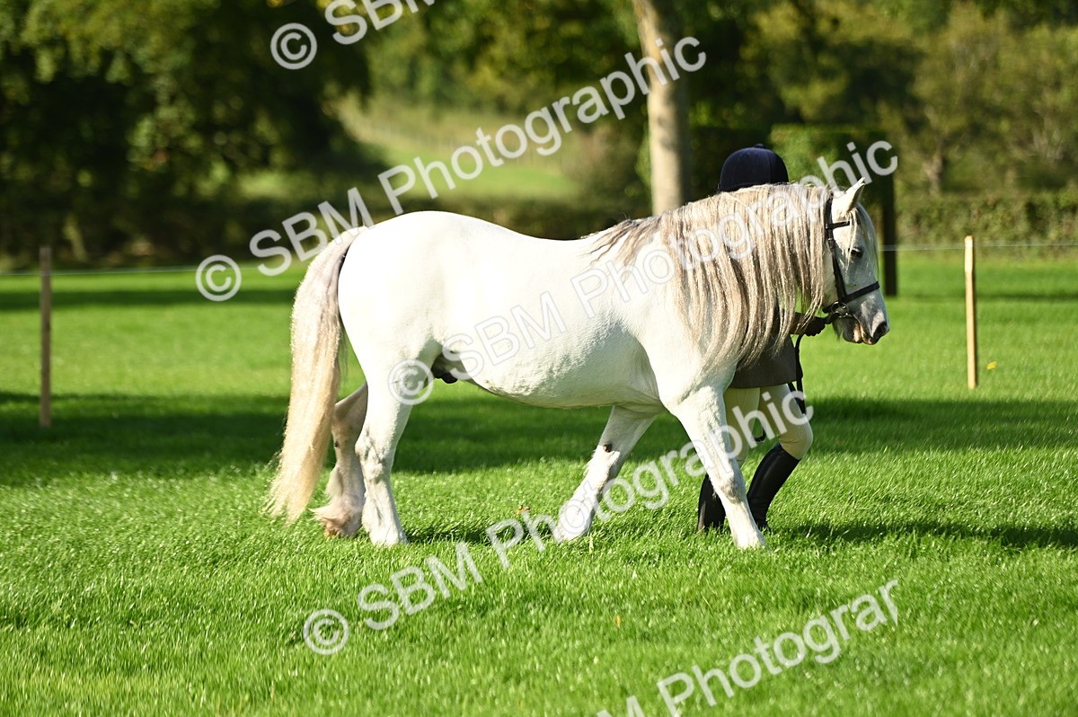 SBM_15827 - S1 - TSR in Hand Horse & Pony Showing