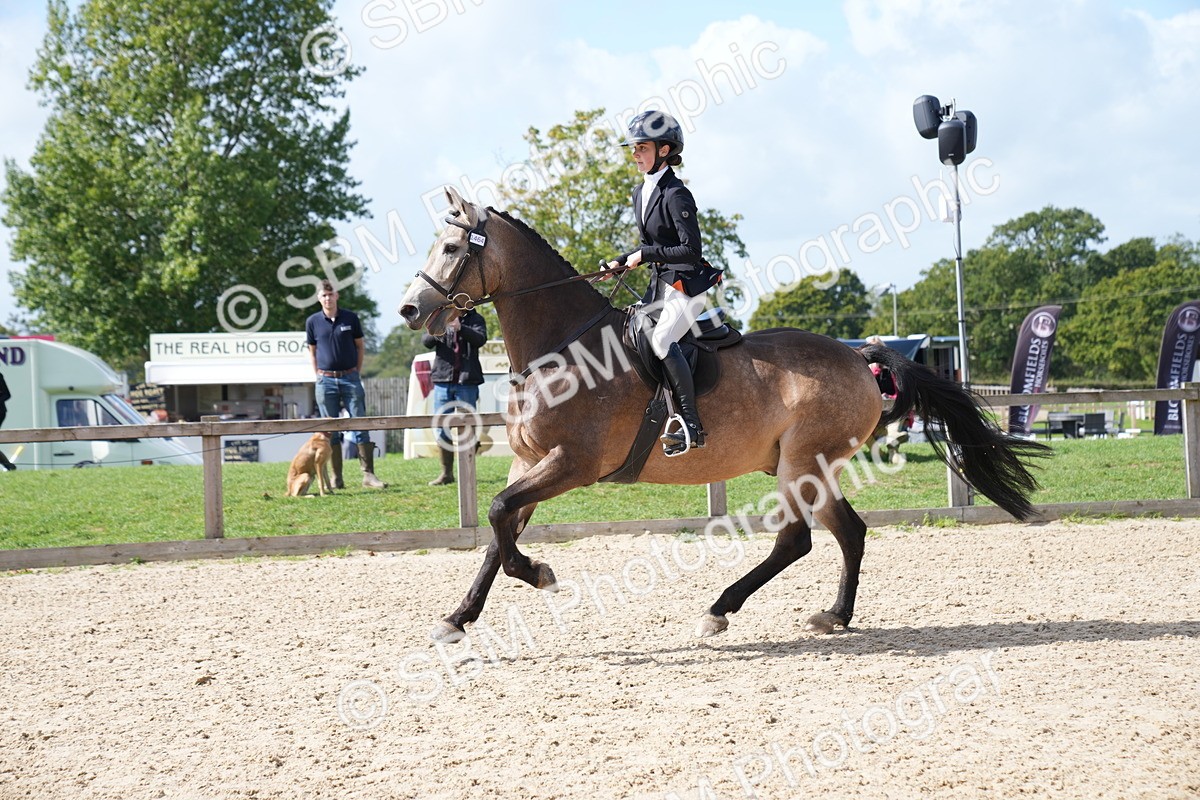 SBM_05959 - J56 - Clear Round 70cm