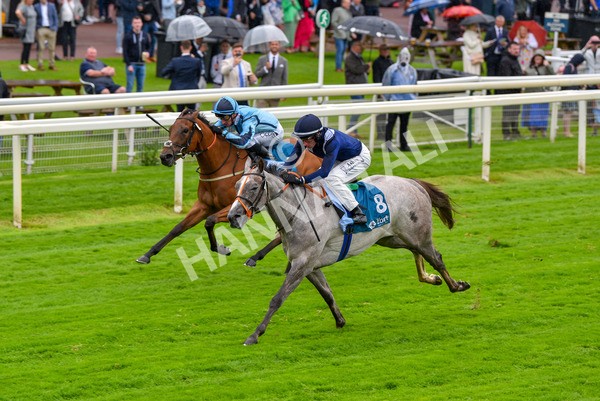 140723-Race 3-Symbology-8173 - Race 3 3.15pm William Hill Keep Your Raceday Positive Irish EBF Fillies' Novice Stakes