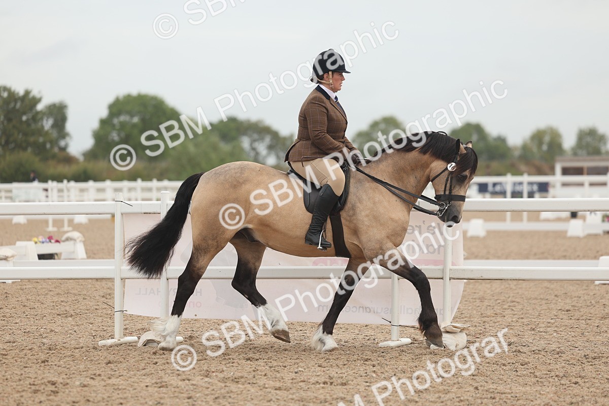 SBM_01870 - Class 14 - Ridden M&M Wildcard