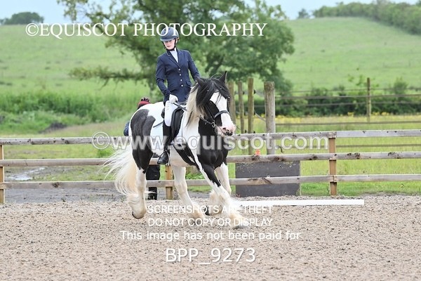 BPP_9273 - 31 E WYLLIE