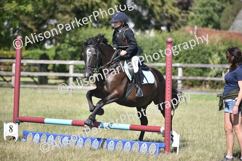 20260906-1697 - Class 9 - Absolute Novice Jumping 45cm