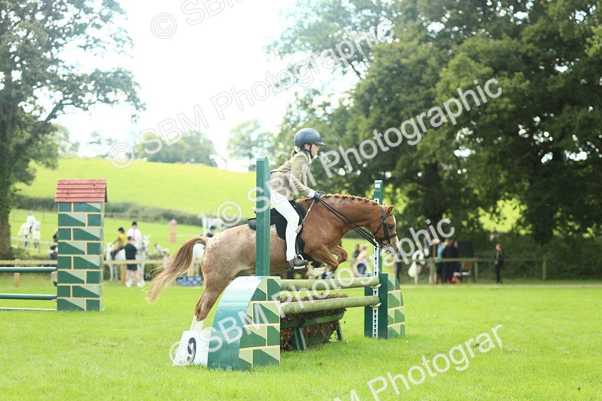 SBM_44691 - S31 - Working Hunter Pony