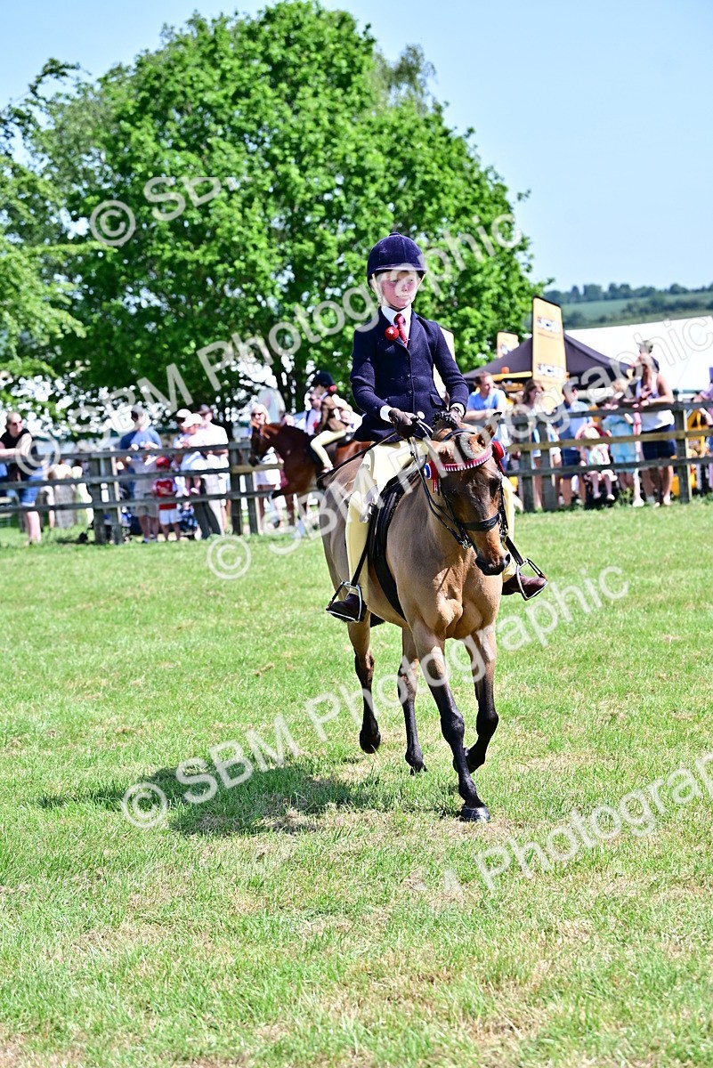 SBM_13891 - Class 95-97 - BSPS LHS Performance Ponies