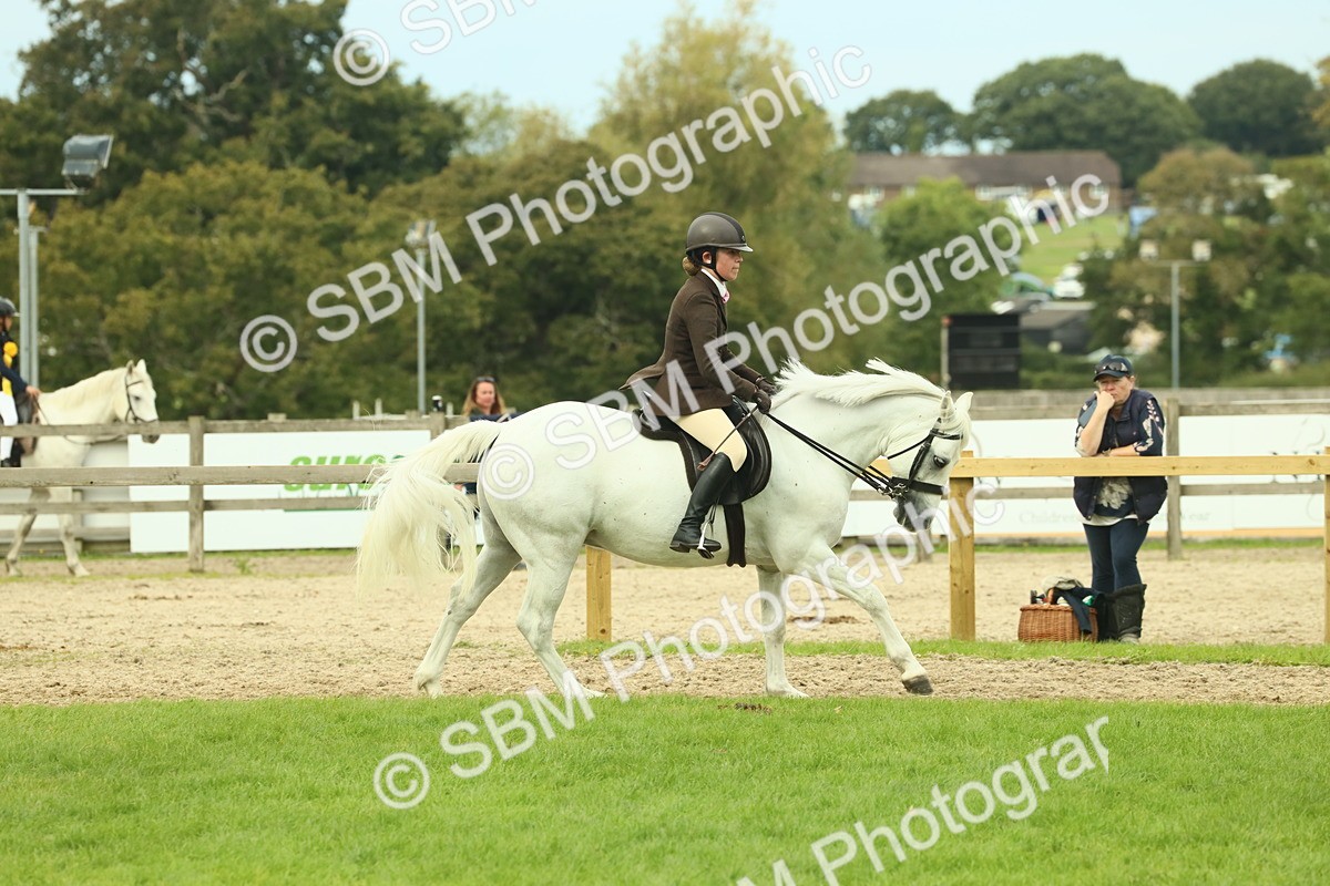 SBM_71977 - S60 - Mountain & Moorland Ridden Large Breeds