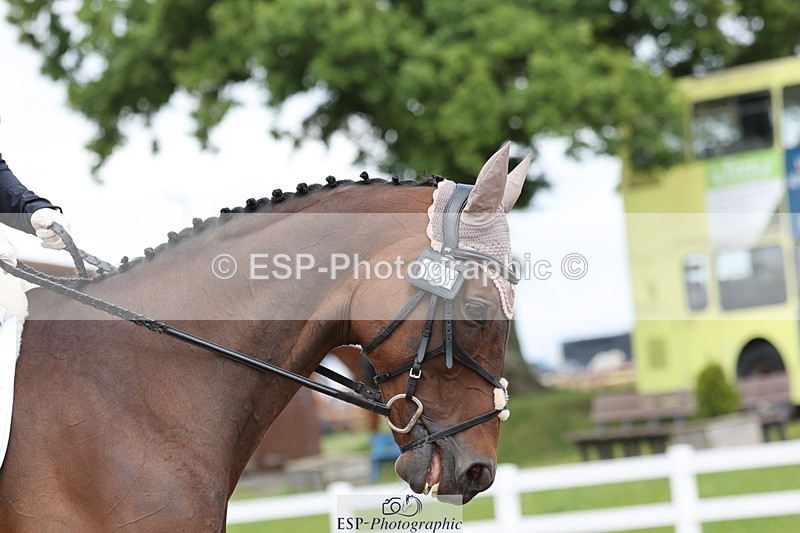 240622A-143910-13337 - Cls 15 Team Quest Intro B