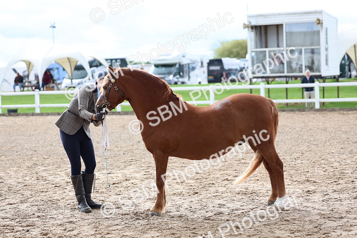SBM_01264