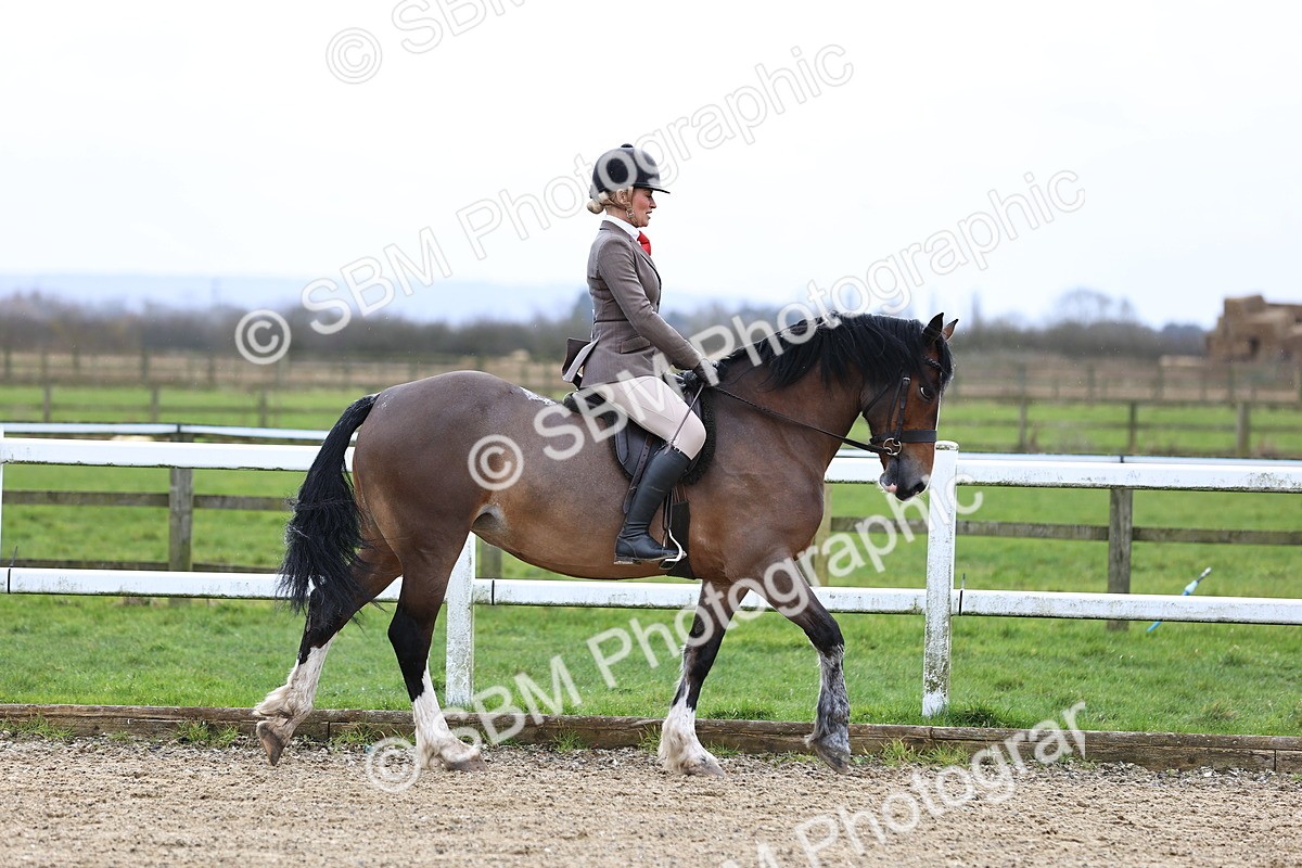 SBM_006889 - Class 29 - 30 - M&M Pure Novice Small-Large Breeds