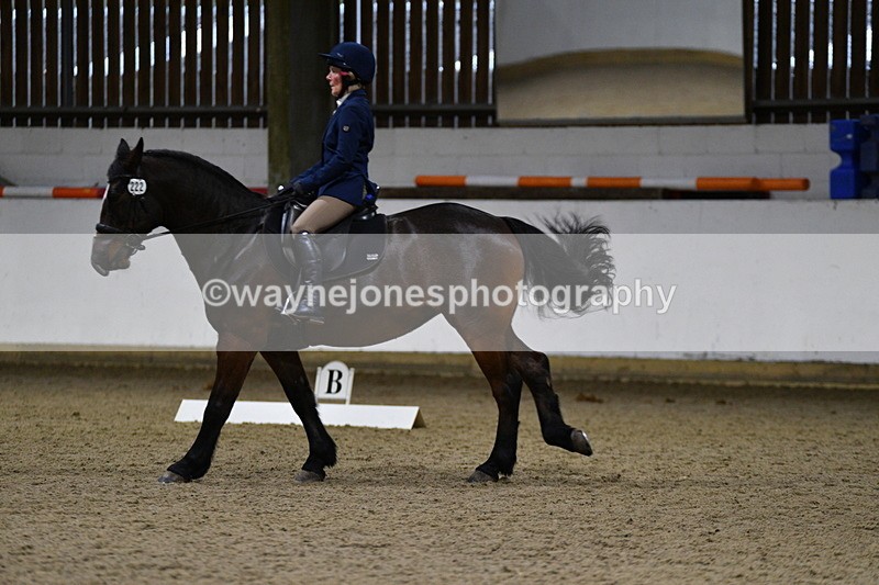 WJ5_8517 - Class 5 Novice Test 3