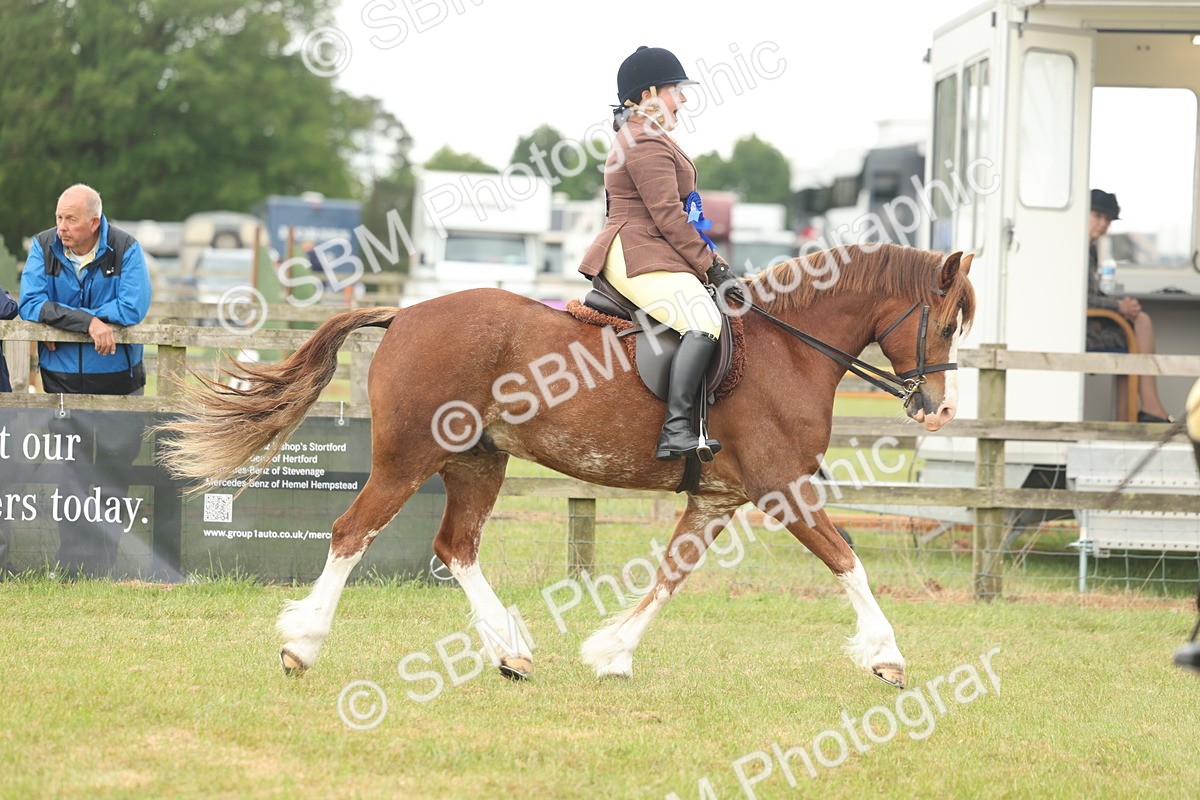 SBM_07274 - Class 76-77 - Ridden M&M Welsh Ponies