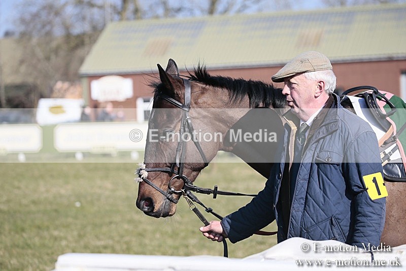 PtP 240218 117 - Vine & Craven Hunt Point-to-Point Barbury racecourse 24/02/18