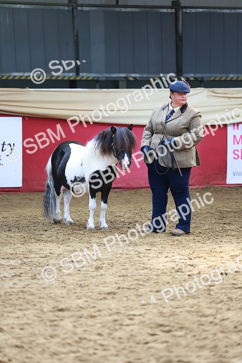 SBM_18639 - Class 903 - Sup Final - IH Pre Vet