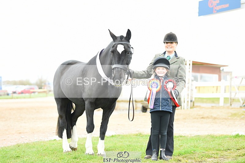 230416A-133820-04596 - Cls 48+49 In Hand Native and Family Type