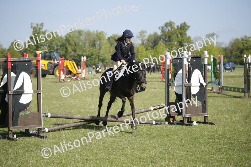 20250427-0332 - Class 12 - Rookie Jumping 40cm