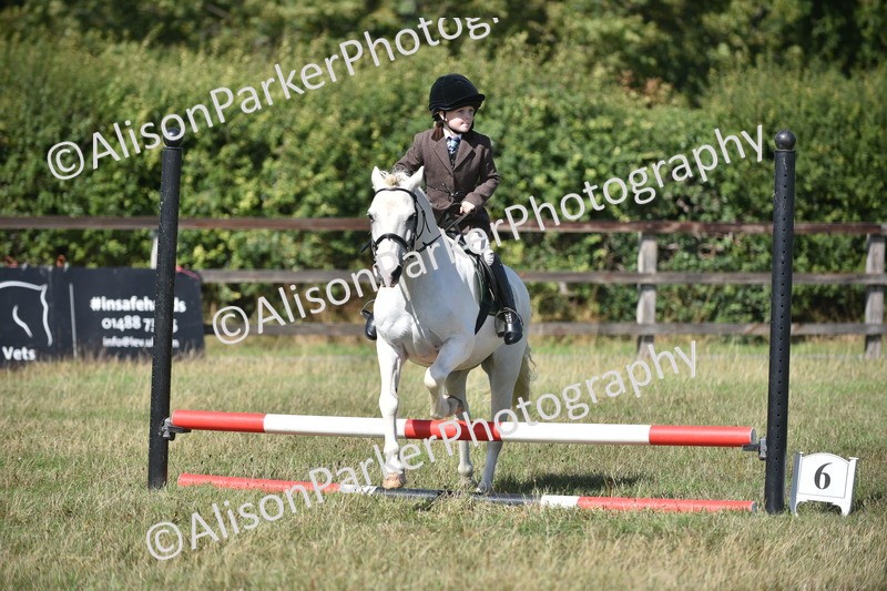 20260906-1707 - Class 9 - Absolute Novice Jumping 45cm