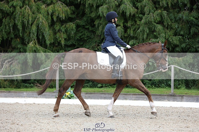 230812-134649-04313 - Cls 5 Novice Bronze 13.40 to 14.45 break