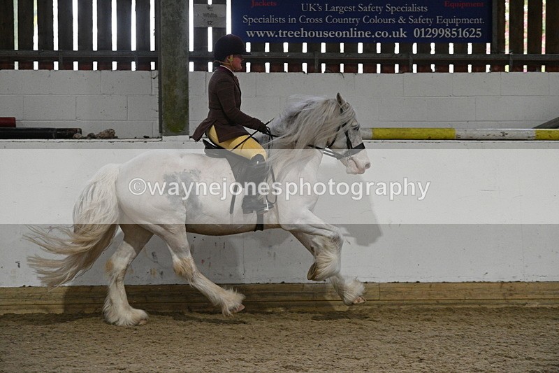 WJ7_4248 - Class 17 Ridden Cob