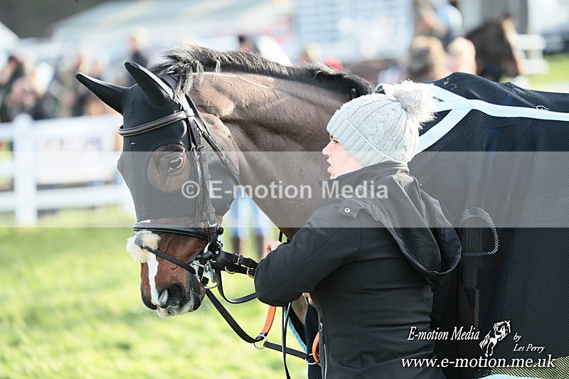 PtP 141225  1260 - New Forest Hounds PtP Larkhill 14/12/25