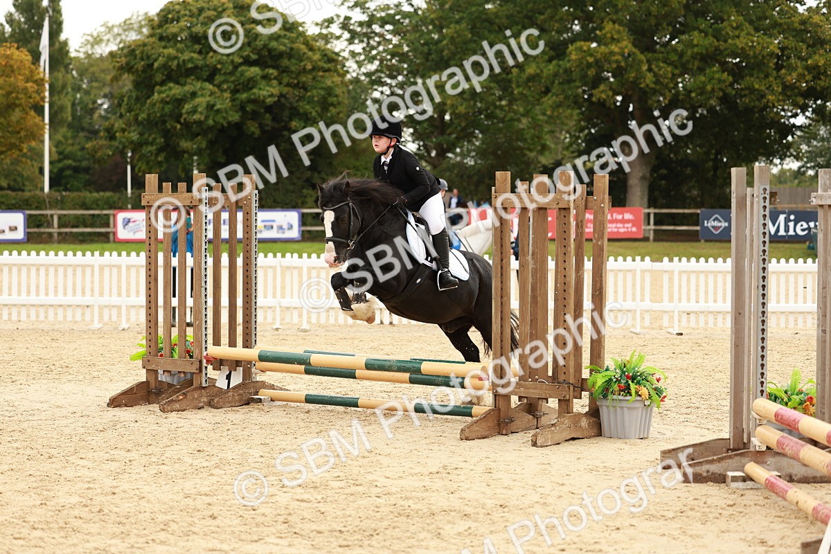 SBM_58019 - J11 - Junior Pony 50cm Championship