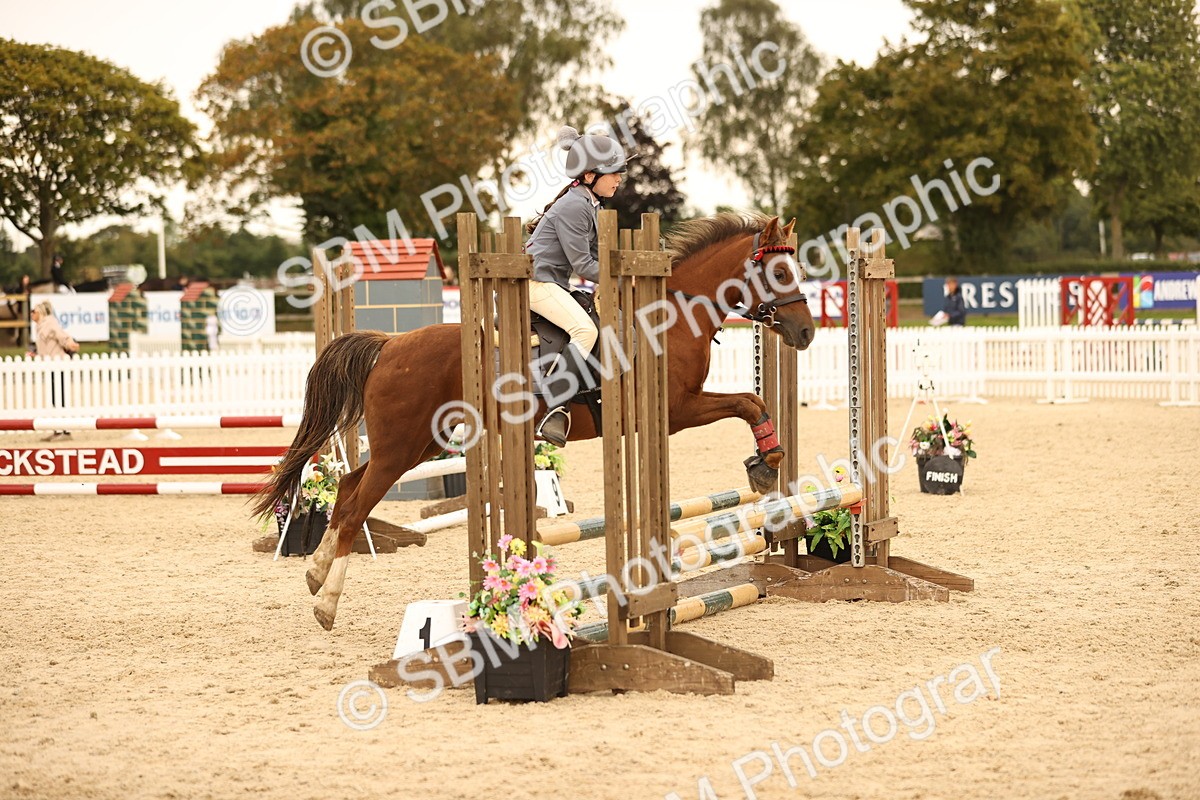 SBM_74277 - J14 - Junior Pony 65cm Championship