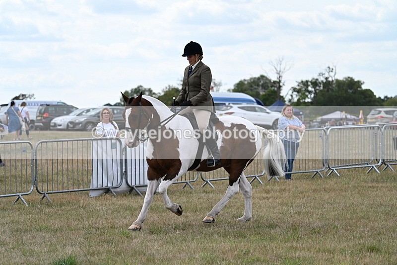 WJ7_5085 - Class 12 Ridden Cob