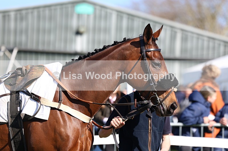 3E7A5581 - Race 6: Maiden (NWFAA)