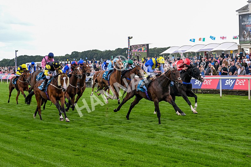 130626-Race 6-Point Of Contact-2111 - Race 6 16.50pm Ice Co Supporting Macmillan Handicap