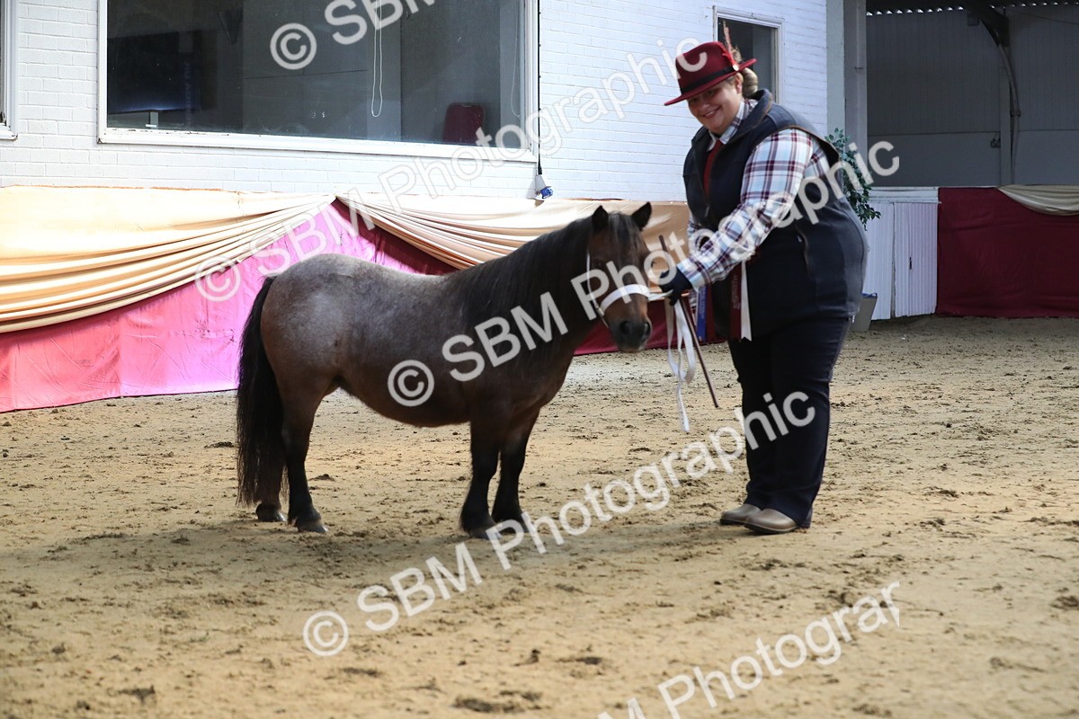 SBM_01373 - Class 3a Area IH Pre Vet