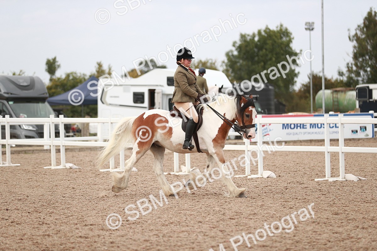 SBM_16619 - Class 214 Ridden Cob
