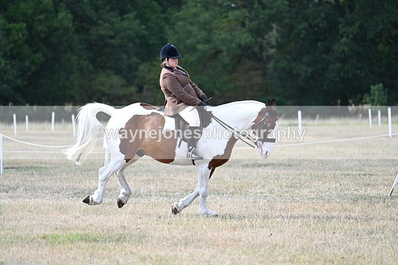 WJ7_7062 - Class 14 Ridden Coloured