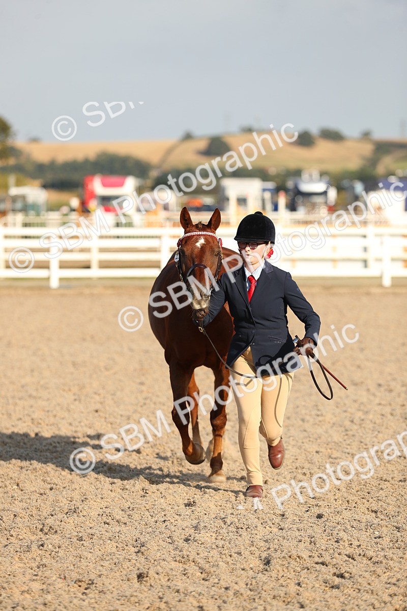 SBM_08979 - Class 29 IH Veteran Pony