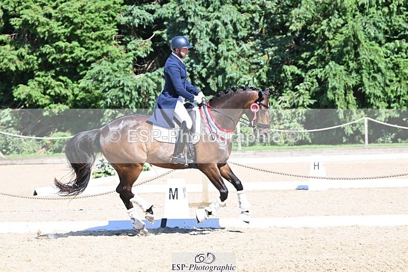 240811-154553-06863 - Inter I Silver