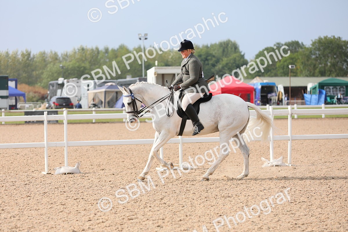 SBM_10893 - Class 304 Ridden Part Bred Horse/Pony