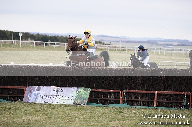 PtP 180218 138 - Combined Services Point-to-Point Larkhill 18/02/18