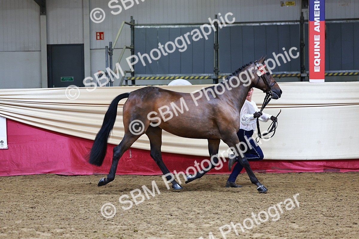 SBM_22152 - Class 902 - Supreme Final - IH Diamond