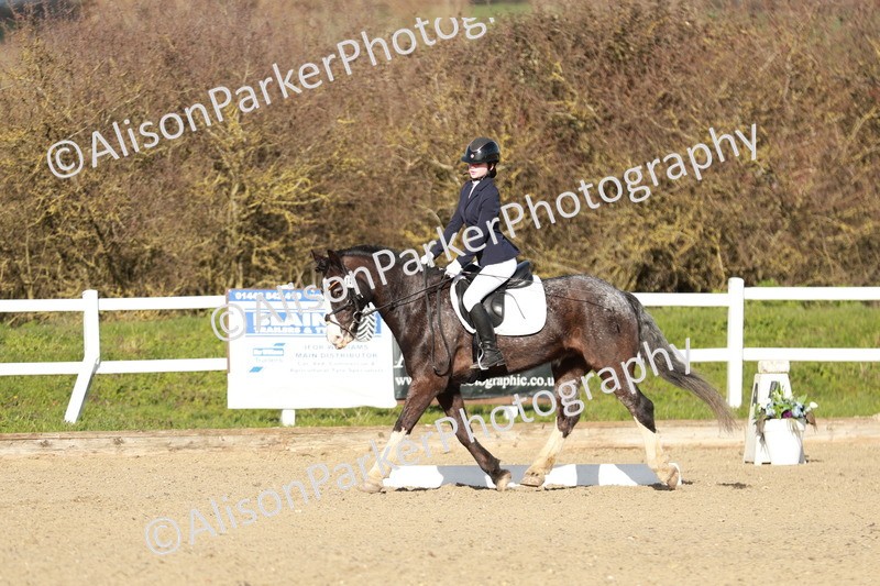 20260314-4538 - DR4 - Prelim 2