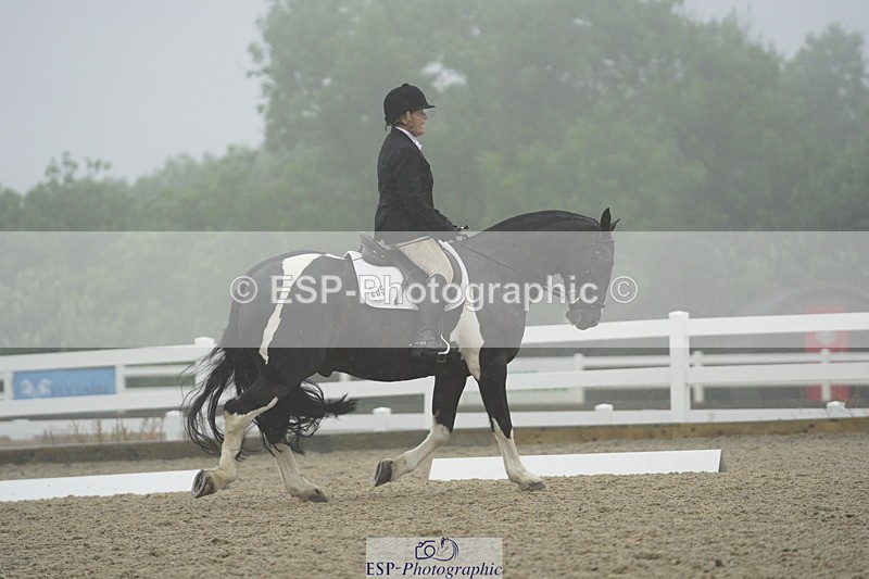 230708A-150816-03984 - Prelim 18