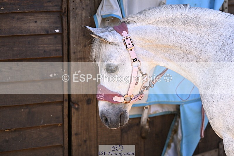 240728B-093212-00042 - Sunday Stable Shots and Fancy Dress