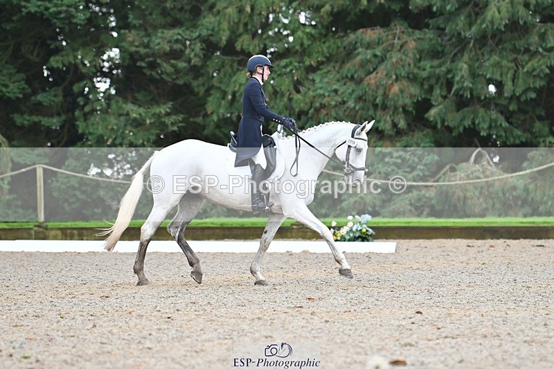 231019-122747-03109 - 114-LATINA'S.TWINKELING-Pippa.Haslam-DR