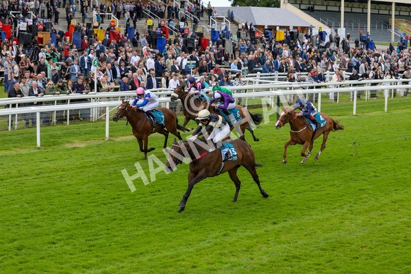 140624-Race 3-Alfa Kellenic-5606 - Race 3 3.00pm British EBF Supporting Racing With Pride Fillies' Handicap