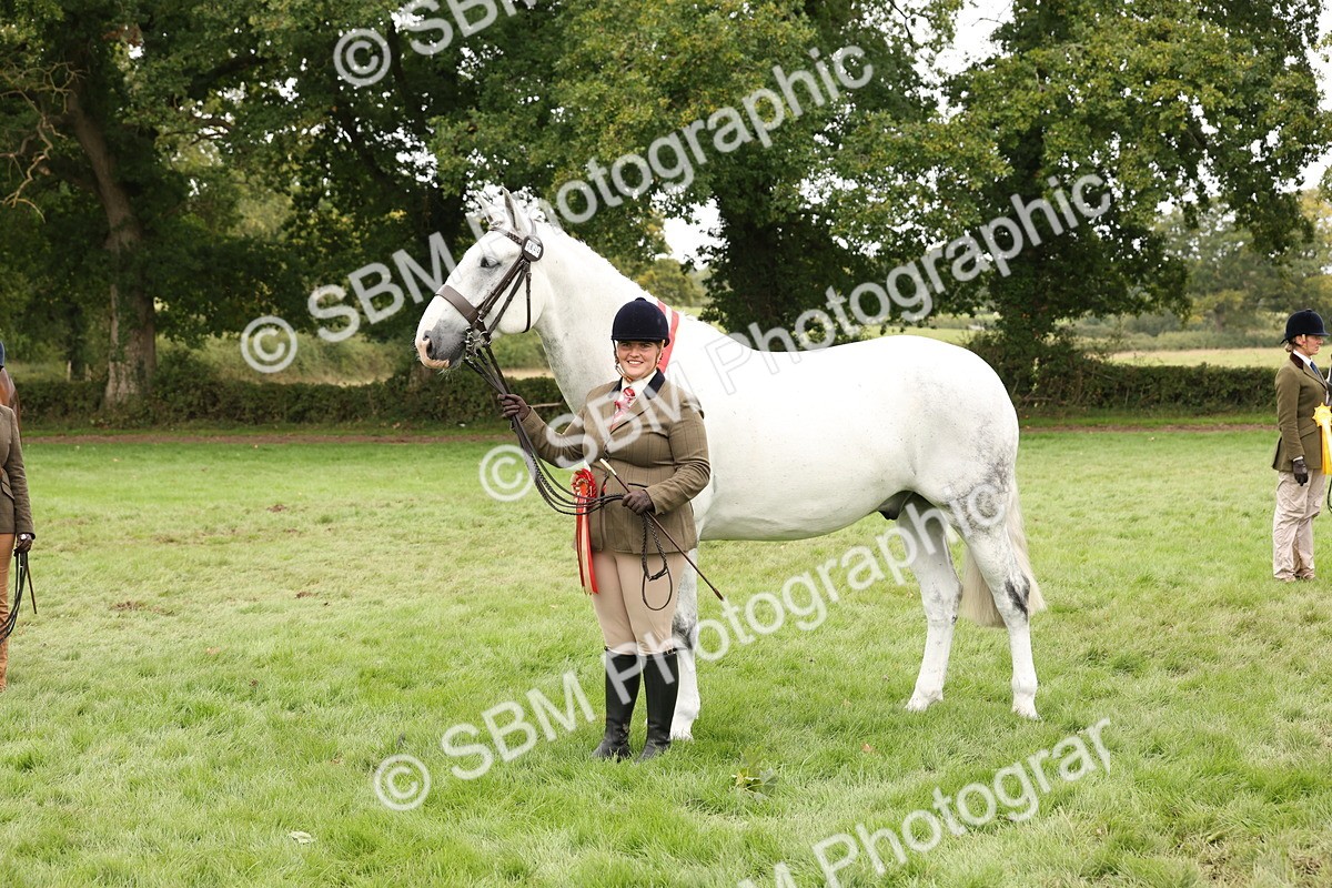 SBM_60874 - In Hand Horse Supreme Championship