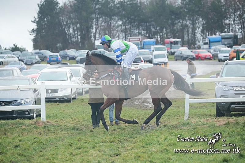PtP 101223 706 - New Forest Hounds PtP Larkhill 10/12/23